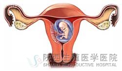 ճҺ쳣ô